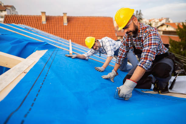 Best Metal Roofing Installation  in Nipomo, CA