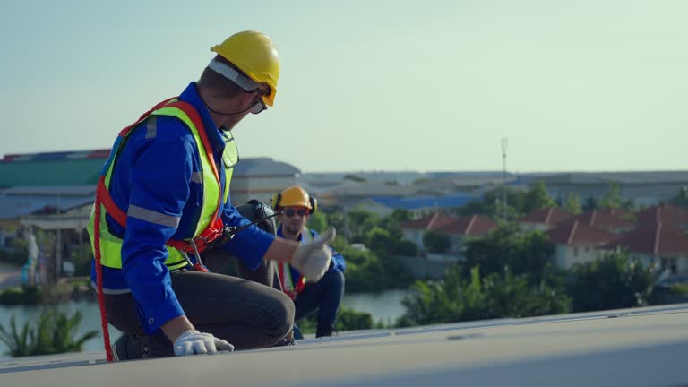 Best Roof Moss and Algae Removal  in Nipomo, CA